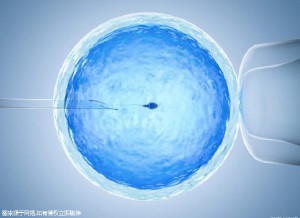 PGT胚胎实验室